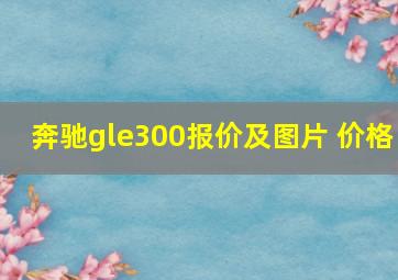 奔驰gle300报价及图片 价格